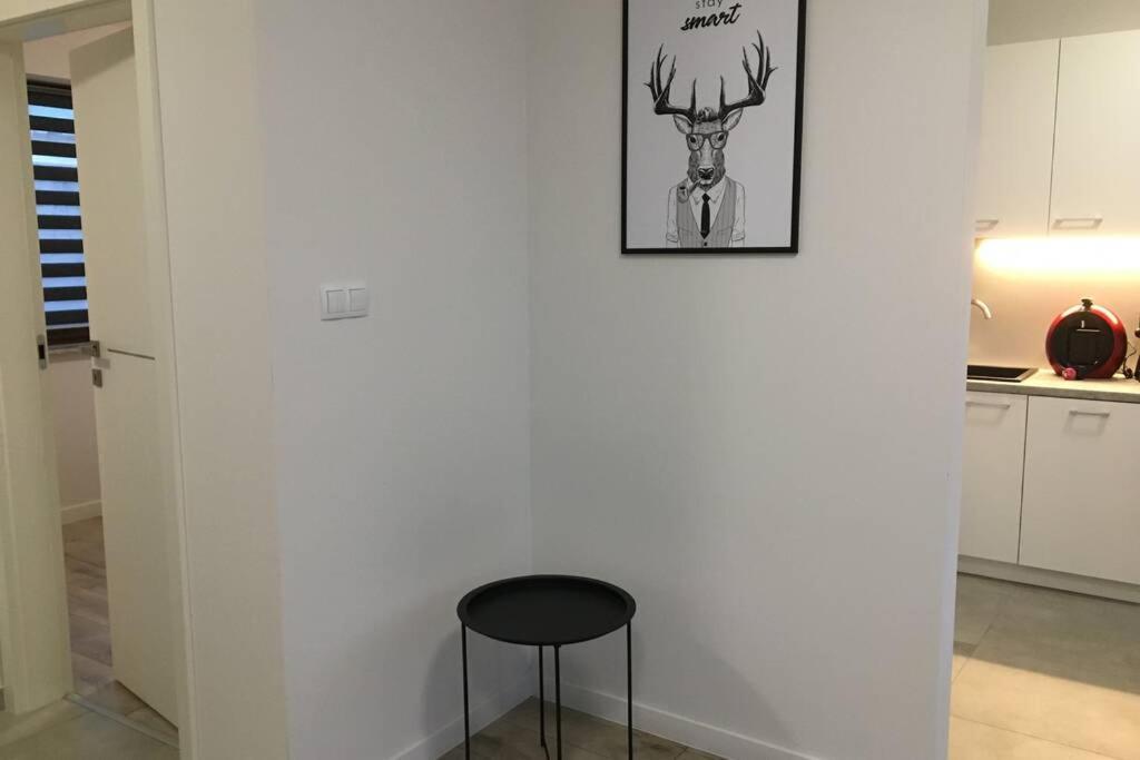 Apartament Fibra Americano 리브니크 외부 사진